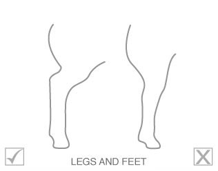 legsandfeet